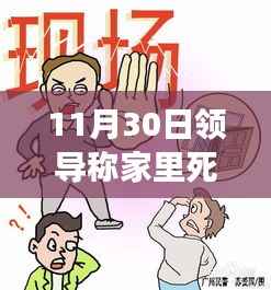11月30日领导言论引发争议,家庭悲剧与地方回应