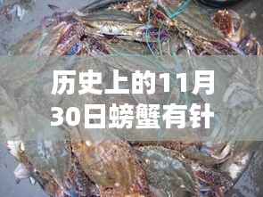 蟹香传奇揭秘,探寻螃蟹针眼真相,揭开美味背后的故事