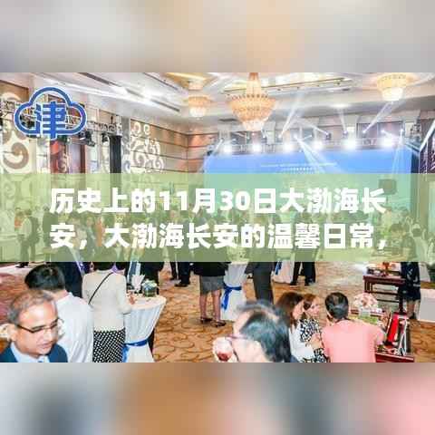 大渤海长安的温馨日常,友谊与陪伴的故事,历史上的11月30日纪念篇章