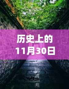 历史上的传奇座椅,型格座椅的秘境探索与传奇故事——型格座椅时光馆之11月30日篇