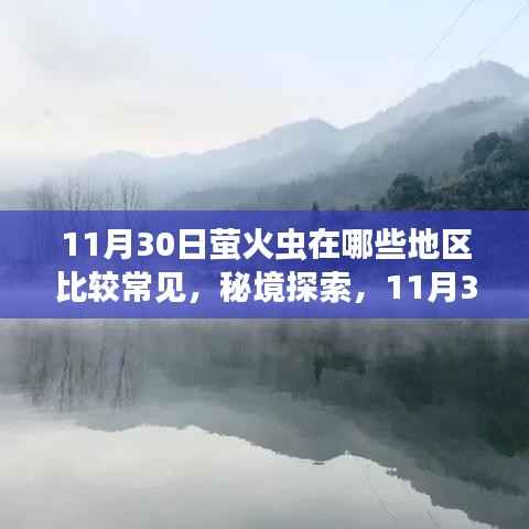 秘境探索,萤火虫飞舞的诗意之地与小巷中的萤火秘境——11月30日萤火虫常见地点一览