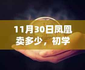 11月30日购买凤凰攻略,初学者也能轻松掌握的详细步骤指南