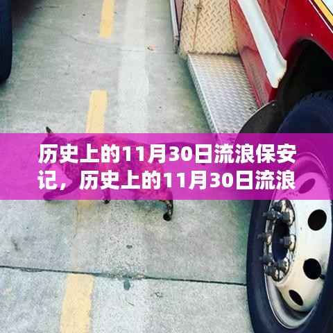 历史上的11月30日流浪保安成长记,一步步学习如何成为一名专业保安人员