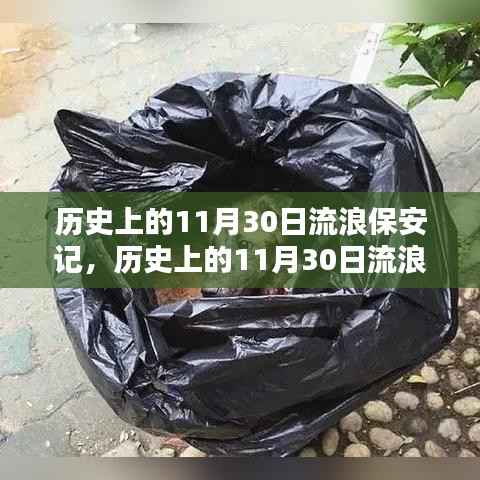 历史上的11月30日流浪保安成长记,一步步学习如何成为一名专业保安人员