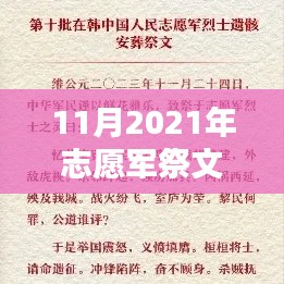 深度测评与介绍,2021年11月志愿军祭文