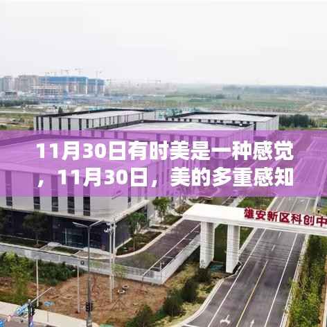 11月30日,美的多重感知之旅