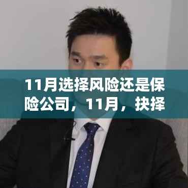 11月抉择,风险与保险公司的博弈