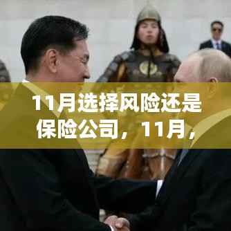 11月抉择,风险与保险公司的博弈