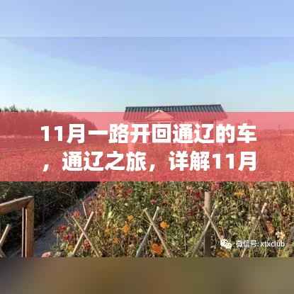 11月自驾通辽之旅,详细路线规划步骤解析