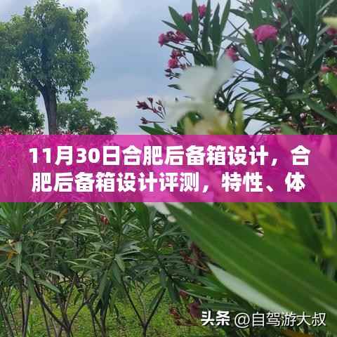 合肥后备箱设计详解,特性、体验、对比与用户需求分析评测报告