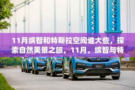 11月缤智与特斯拉空间对比,谁的空间更大,自然美景之旅探索