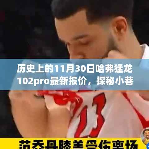 11月30日哈弗猛龙102pro报价揭秘,探秘小巷深处的宝藏