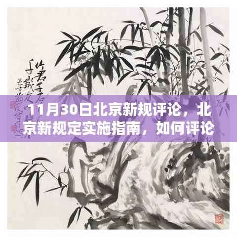 北京新规定实施指南,评论与适应策略(适用于初学者与进阶用户)
