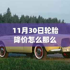 探寻轮胎降价背后的秘密,轮胎之旅与自然的魅力交织之旅