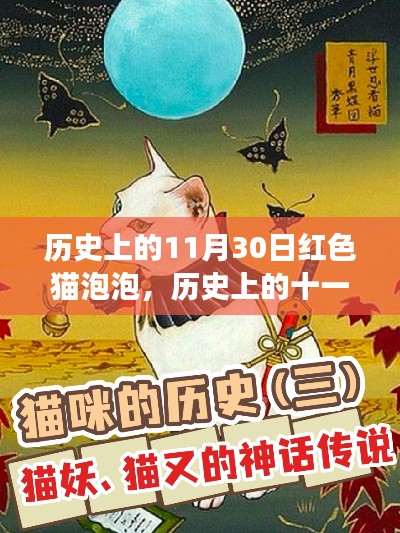 红色猫泡泡的神秘故事,历史上的十一月三十日揭秘