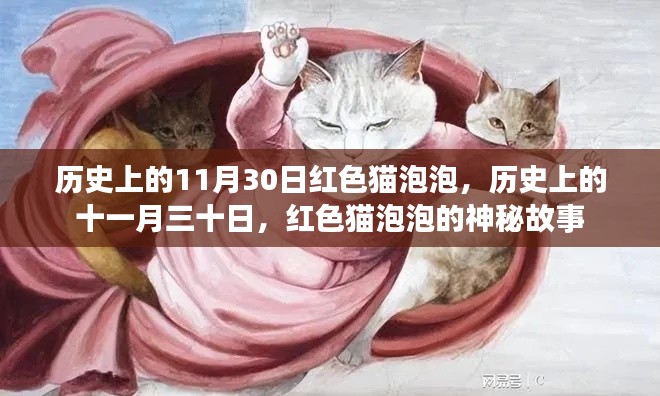 红色猫泡泡的神秘故事,历史上的十一月三十日揭秘