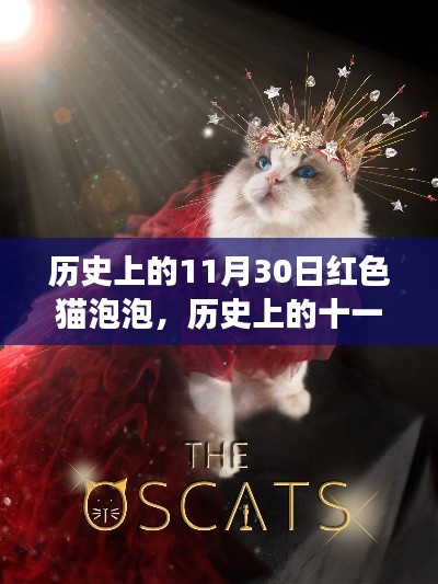 红色猫泡泡的神秘故事,历史上的十一月三十日揭秘