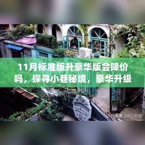探寻小巷秘境,豪华升级背后的降价诱惑与特色小店的独特风情故事