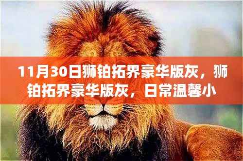 狮铂拓界豪华版灰,日常温馨趣事与友情羁绊的深刻印记