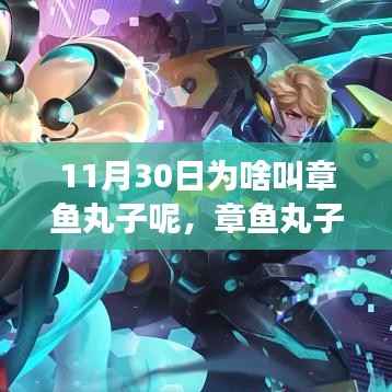 11月30日章鱼丸子呼唤的心灵之旅,与自然美景的交融体验