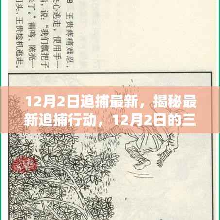 揭秘最新追捕行动,深度解析三大要点及最新进展(12月2日)