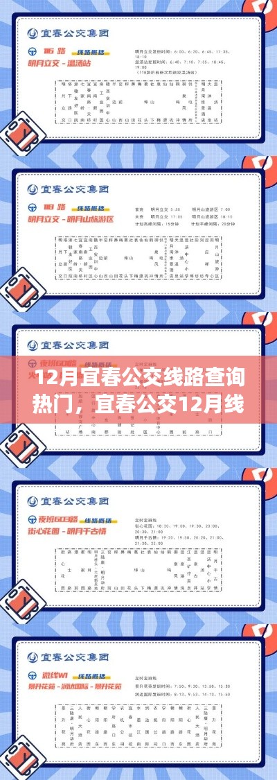 宜春公交12月线路查询热潮,背景、事件与影响探究