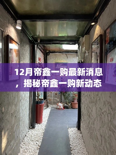 帝鑫一购最新动态揭秘,小巷深处的特色小店探秘与12月最新消息