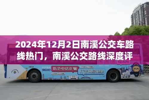 南溪公交路线深度评测与热度报告,用户体验与路线热度分析(2024年12月)