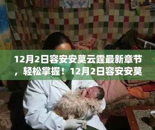 容安安莫云霆最新章节获取攻略，轻松掌握，初学者快速上手