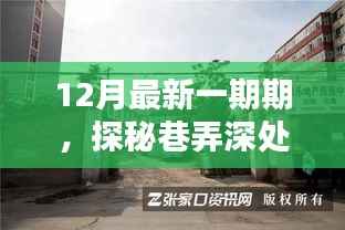 隐藏在繁华小巷的特色小店奇遇记,巷弄深处的独特风味探索之旅