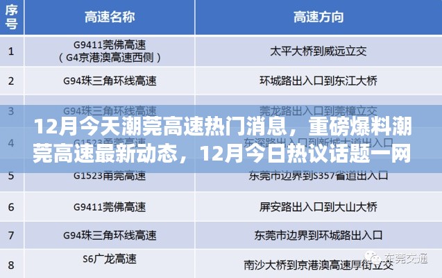 潮莞高速最新动态揭秘,12月热议话题全解析