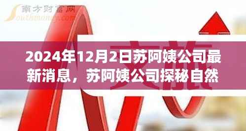 苏阿姨公司年终秘密邀请,探秘自然之旅的独家消息揭秘(2024年)