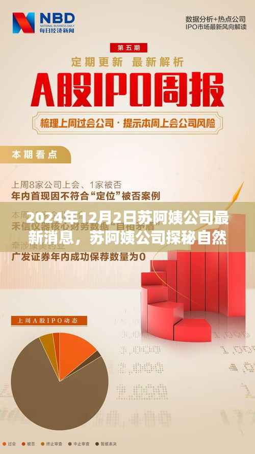 苏阿姨公司年终秘密邀请,探秘自然之旅的独家消息揭秘(2024年)