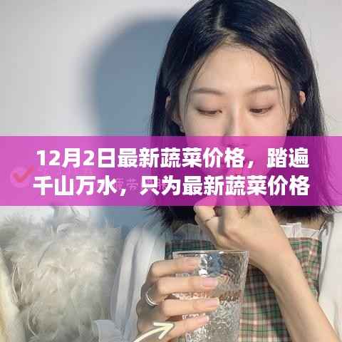 12月2日最新蔬菜价格,踏遍千山万水,只为最新蔬菜价格下的心灵之旅