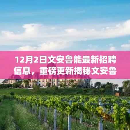 文安鲁能最新招聘信息揭秘,开启职场新篇章,小红书独家报道