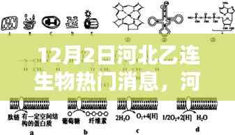 河北乙连生物在特定领域的深远影响与地位揭秘，最新消息与重大进展，12月2日重磅发布
