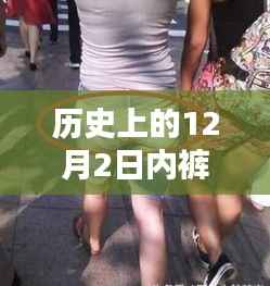 内裤哥与十二月的暖心日常,最新历史记录下的日常更新