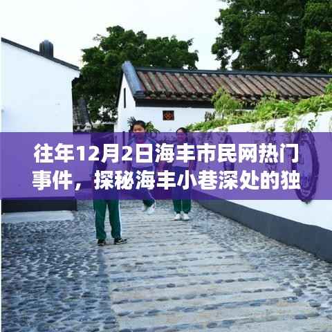 揭秘海丰小巷隐藏小店，往年12月2日市民网热门事件背后的独特风味探索之旅