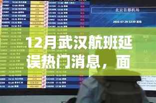 武汉航班延误应对指南，详解热门消息与实操指南