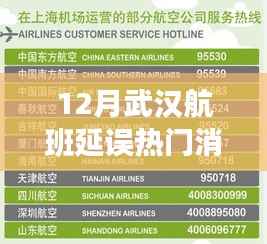 武汉航班延误应对指南,详解热门消息与实操指南