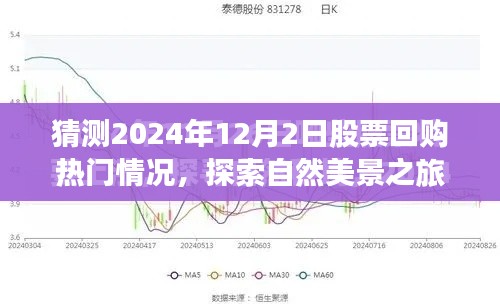 2024年股票回购预测与心灵自然之旅的双重探索
