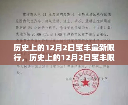历史上的12月2日宝丰限行政策详解与实施步骤,初学者与进阶用户指南