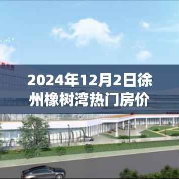 徐州橡树湾房价蜕变见证梦想起航,励志故事背后的励志故事