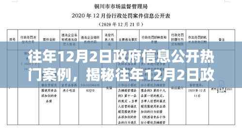 揭秘往年12月2日政府信息公开热点案例回顾与启示
