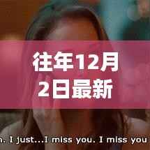 揭秘往年12月2日中式英文的发展与趋势解析,风格、要点深度解读