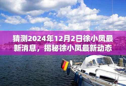 揭秘徐小凤最新动态,探寻小巷深处的独特小店,揭晓徐小凤最新消息2024年12月2日展望