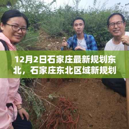 石家庄东北区域新规划揭秘,12月2日的蓝图与未来影响