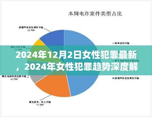 2024年女性犯罪趋势深度解析,最新数据与预测