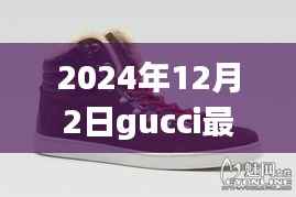 Gucci最新款男鞋,时尚与品质的完美融合(2024年12月2日新款)