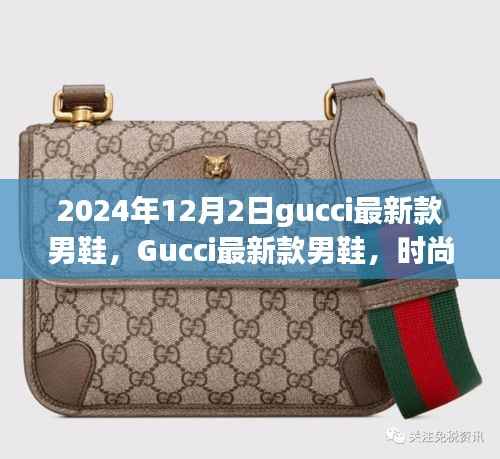 Gucci最新款男鞋,时尚与品质的完美融合(2024年12月2日新款)